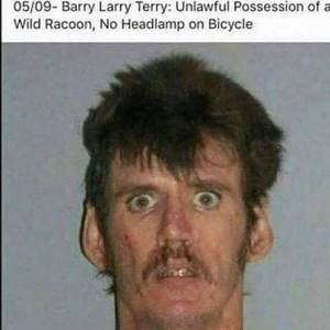 Meet your Posher, Barry